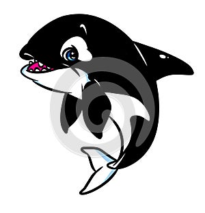 Killer Whale fish cartoon illustration