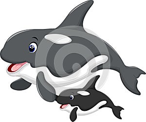 Killer whale and her son