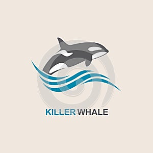 Killer whale icon