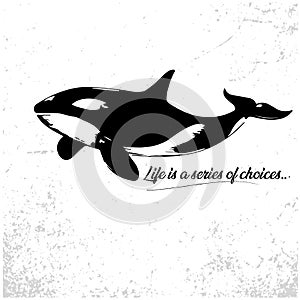 Killer whale illustration in grunge background. Monochrome abstract vector grunge texture.