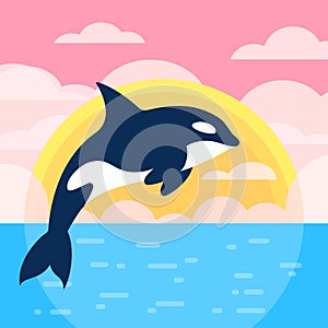 Killer whale isolated