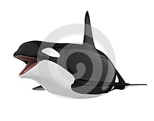 Killer Whale Isolated photo
