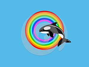 Killer whale jumping in rainbow ring