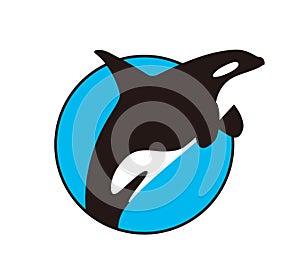 Killer Whale jumping in the sea flat icon design, vector illustration