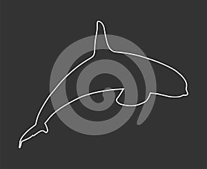 Killer Whale line contour, jumping out of water vector silhouette illustration isolated on blac