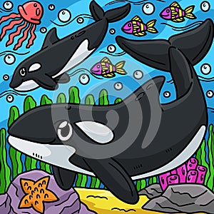 Killer Whale Marine Animal Colored Cartoon