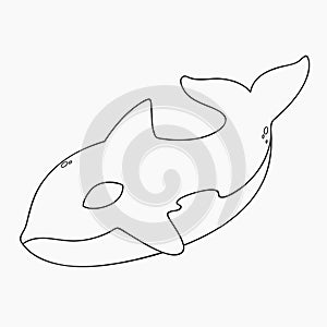 Killer Whale, Orca Line Art Vector