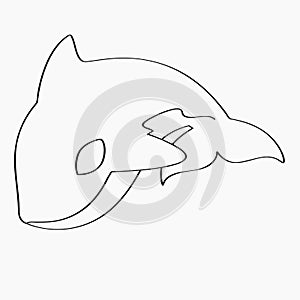 Killer Whale, Orca Line Art Vector