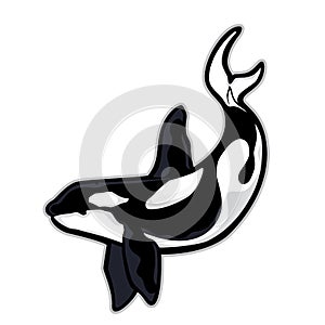 Killer whale or orca mascot