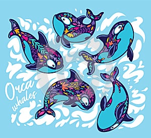 Killer whale orca set in floral style. Decorative vector illustration