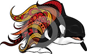 Killer Whale or Orca vector illustration design