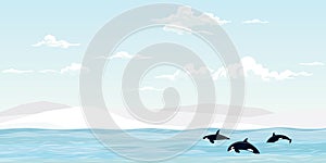 Killer whale pack swimming in the sea vector illustration. Orca in arctic ocean flat design