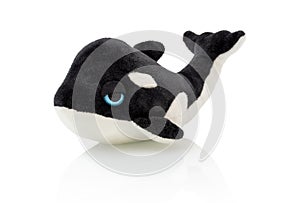 Killer whale plushie doll isolated on white background with shadow reflection. Plush stuffed orca on white backdrop.