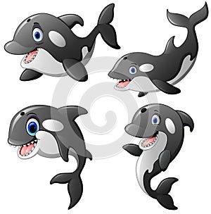 Killer whale set cartoon