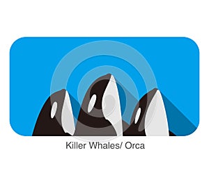 Killer Whale swimming in the sea flat icon design, vector illustration