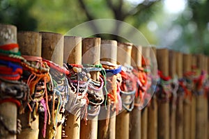 Killing Fields Mass Grave, Phnom Penh, Cambodia