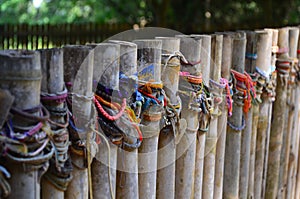 Killing Fields Mass Grave, Cambodia