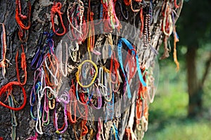 Killing Fields Mass Grave, Phnom Penh, Cambodia