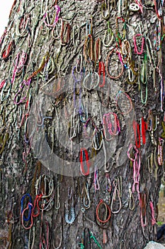 The Killing Fields of Phnom Penh