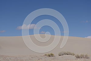Killpecker sand dunes Wyoming USA