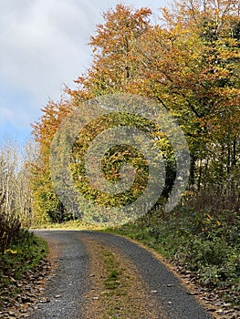 Killykeen forest park, Cavan, Ireland