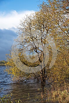 Killykeen Forest Park and Lake Oughter