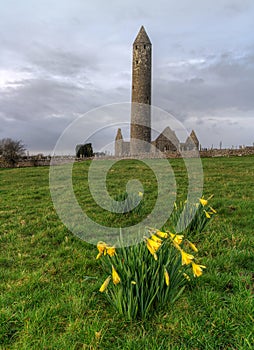 Kilmacduagh monastery in Burren