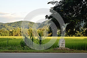 A kilometer stone on the road