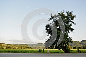 A Kilometer stone on the road