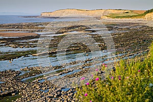 Kilve beach in Somerset England