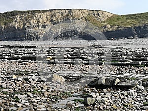 Kilve jurrasic beach England