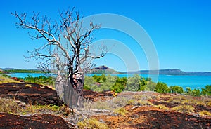 Kimberley Coast photo