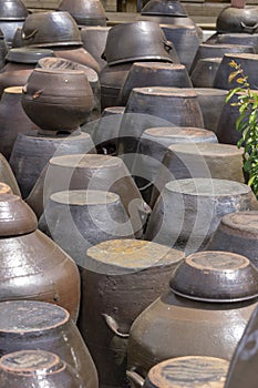 Kimchi pot in clay - Yangdong village near Geyongju