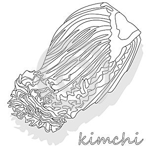 Kimchi, traditional korean food. Illustration on white isolated