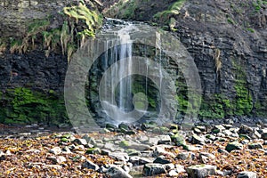 Kimmeridge Bay in Dorset