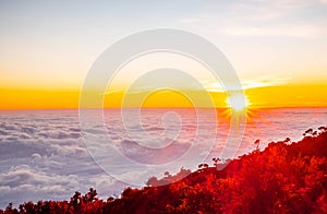 Kinabalu national park. Kota - Malasia. photo