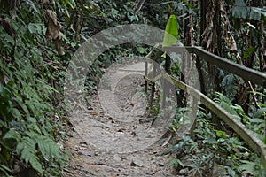 Kinabalu Park Kundasang