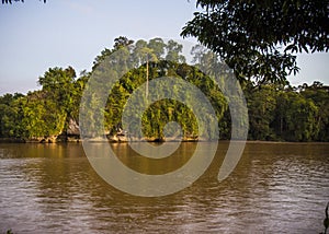 Kinabatangan river flown through a tropical rain forest