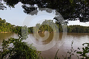 Kinabatangan river flown through a tropical rain forest