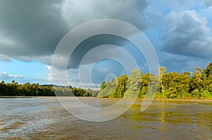 Kinabatangan river, Malaysia, Borneo