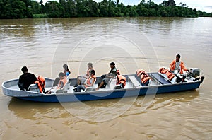 Kinabatangan River Safari