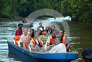 Kinabatangan River Safari