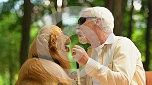 Kind man with visual impairment petting guide dog, sitting on bench in park