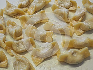 A kind of ravioli, casoncelli, home made traditional food of the Bergamo area, Italy. Delicious Italian food