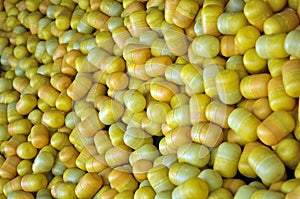 Kinder eggs surprises