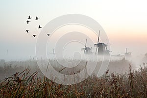 Kinderdijk in holland