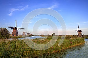 Kinderdijk windmills in the netherlands in a row