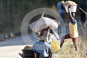 Kinderen in Gambia, Kids in the Gambia