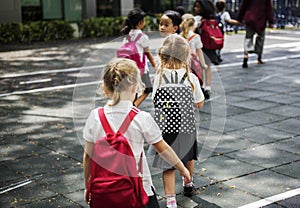 Kindergarten students walking crossing school road
