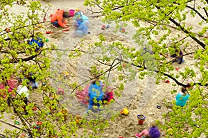 Kindergartner under trees photo